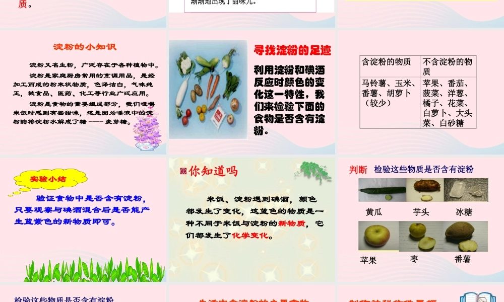 六年级科学下册 第二单元 物质的变化 3 米饭 淀粉和碘酒的变化课件2 教科版-教科版小学六年级下册自然科学课件