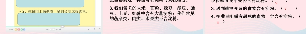 六年级科学下册 第二单元 物质的变化 3 米饭 淀粉和碘酒的变化课件2 教科版-教科版小学六年级下册自然科学课件