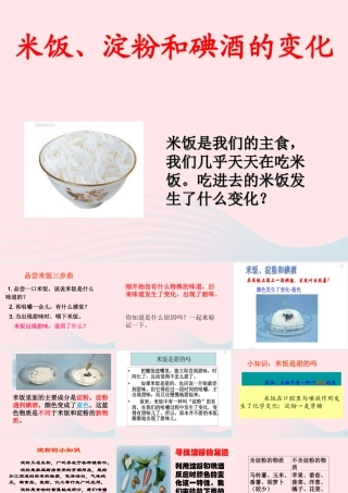 六年级科学下册 第二单元 物质的变化 3 米饭 淀粉和碘酒的变化课件2 教科版-教科版小学六年级下册自然科学课件