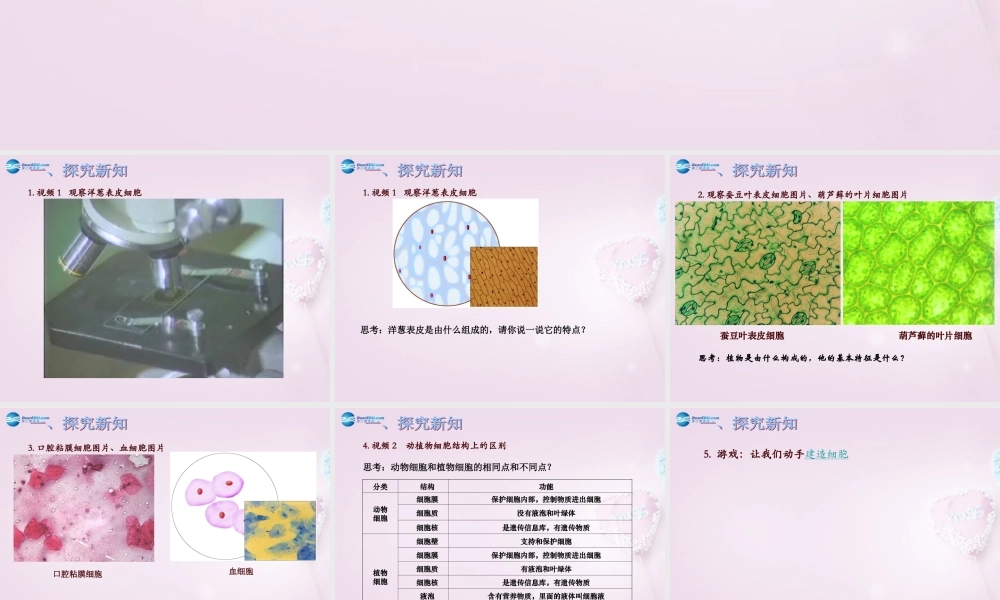 六年级科学下册《细胞》课件2 青岛版