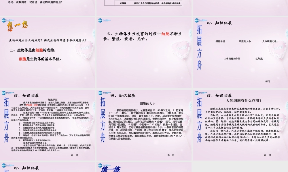 六年级科学下册《细胞》课件2 青岛版