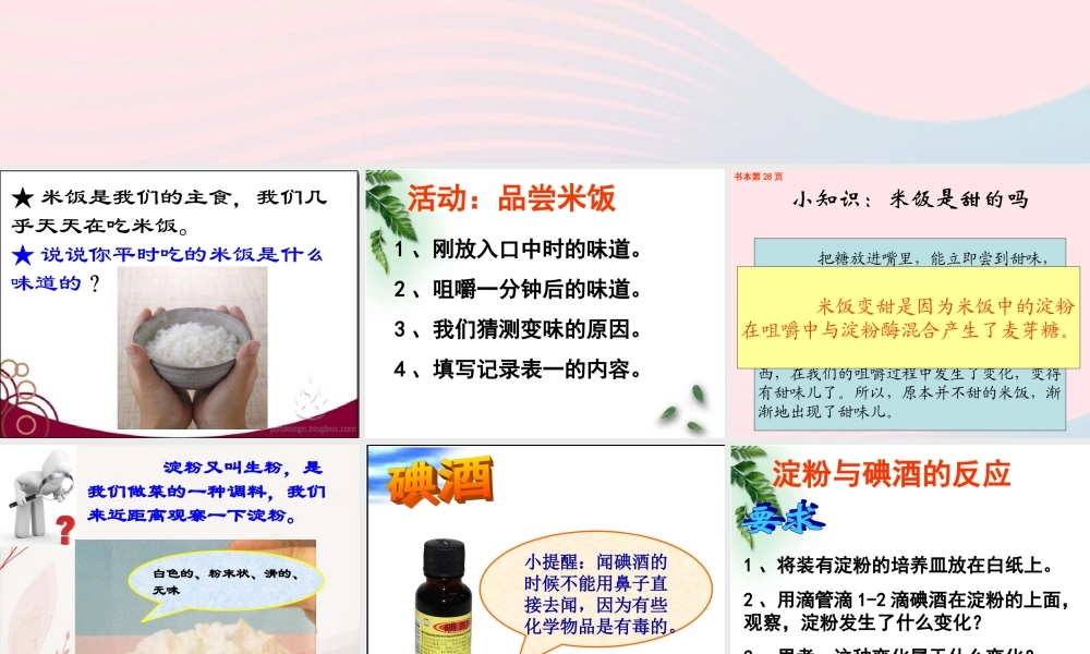 六年级科学下册 第二单元 物质的变化 3 米饭淀粉和碘酒的变化课件3 教科版-教科版小学六年级下册自然科学课件