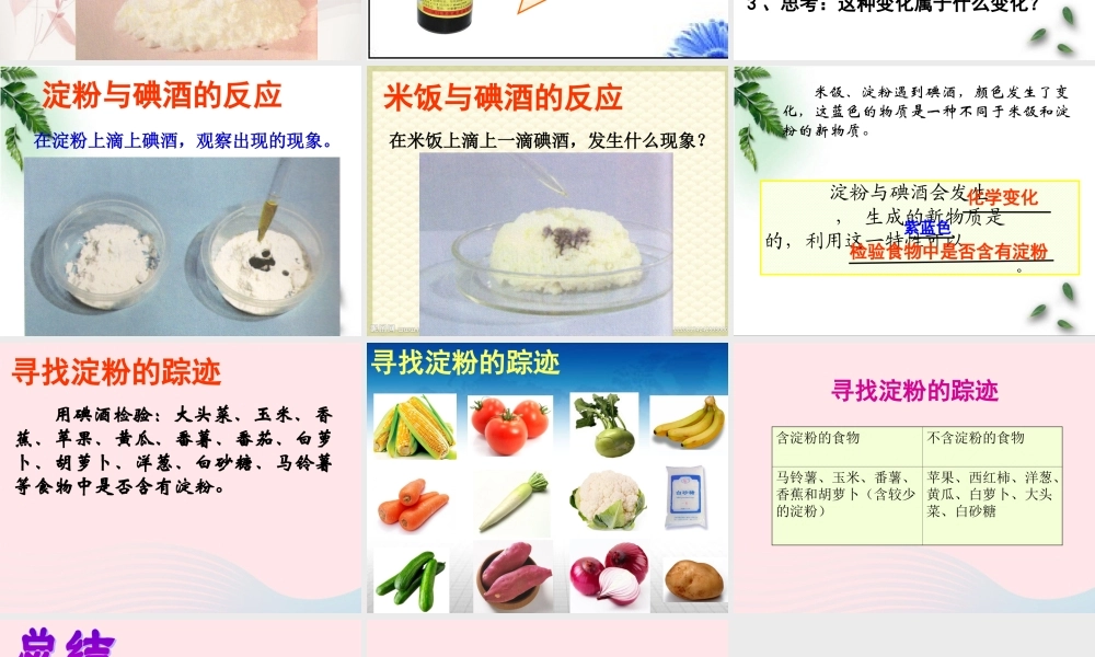 六年级科学下册 第二单元 物质的变化 3 米饭淀粉和碘酒的变化课件3 教科版-教科版小学六年级下册自然科学课件