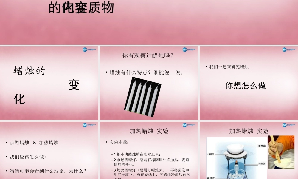 六年级科学上册 第2单元 5 蜡烛的变化课件10 青岛版