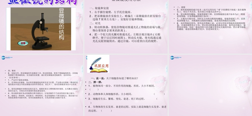 六年级科学下册《细胞》课件3 青岛版