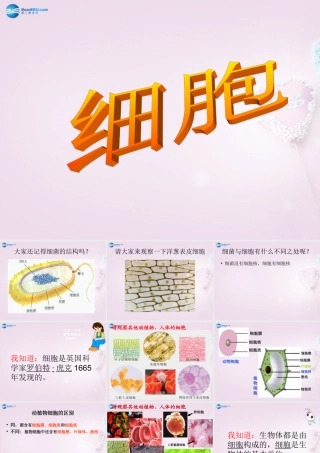 六年级科学下册《细胞》课件3 青岛版