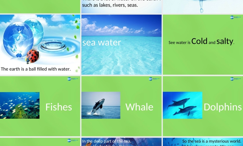 六年级英语下册《Lesson 14 Water》课件 陕旅版