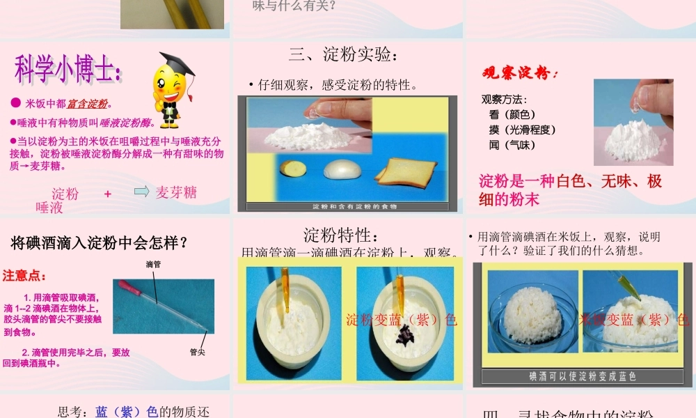 六年级科学下册 第二单元 物质的变化 3 米饭淀粉和碘酒的变化课件4 教科版-教科版小学六年级下册自然科学课件