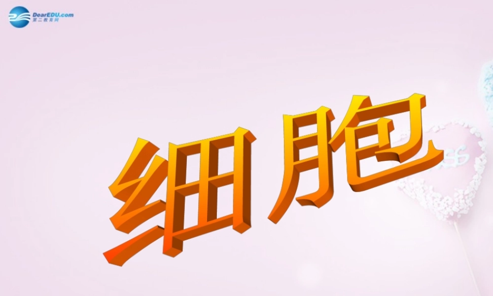 六年级科学下册《细胞》课件4 青岛版