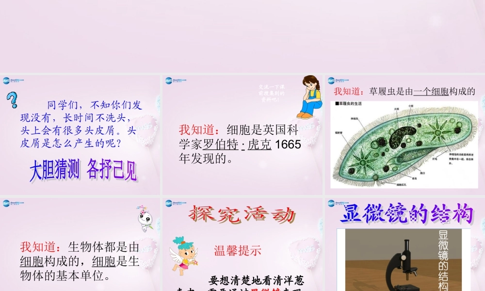 六年级科学下册《细胞》课件4 青岛版