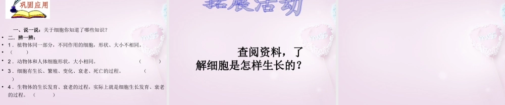 六年级科学下册《细胞》课件4 青岛版