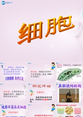 六年级科学下册《细胞》课件4 青岛版