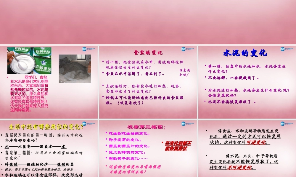 六年级科学上册 第2单元 6 食盐和水泥课件1 青岛版