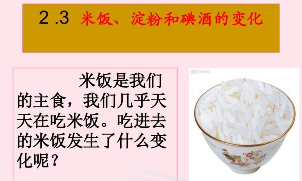 六年级科学下册 第二单元 物质的变化 3《米饭 淀粉和碘酒的变化》课件1 教科版-教科版小学六年级下册自然科学课件