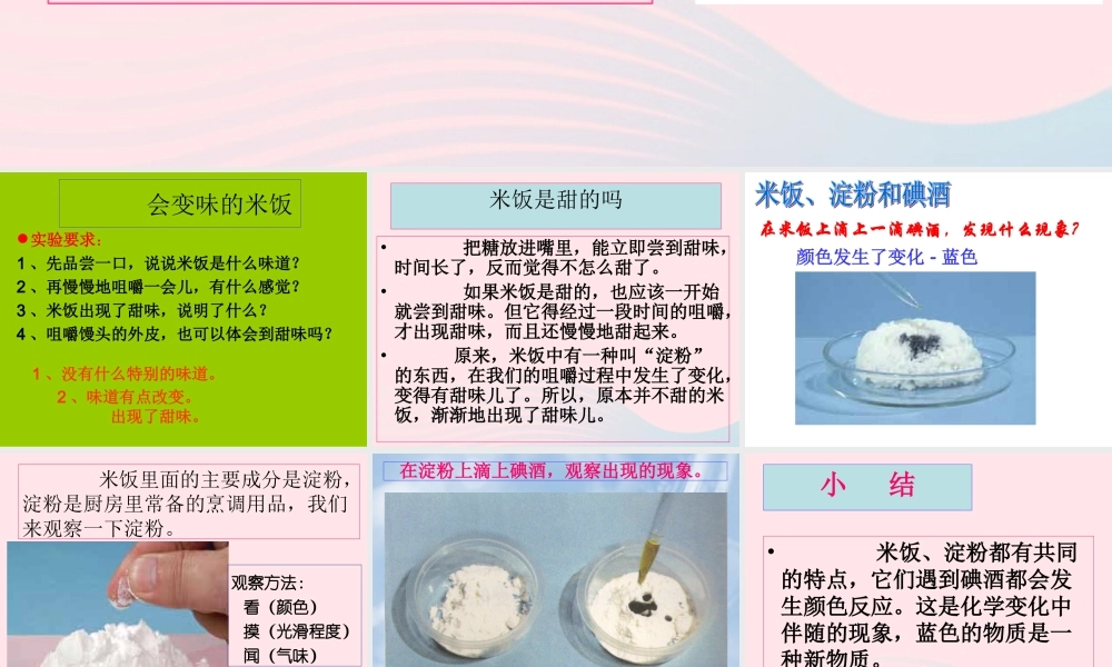 六年级科学下册 第二单元 物质的变化 3《米饭 淀粉和碘酒的变化》课件1 教科版-教科版小学六年级下册自然科学课件