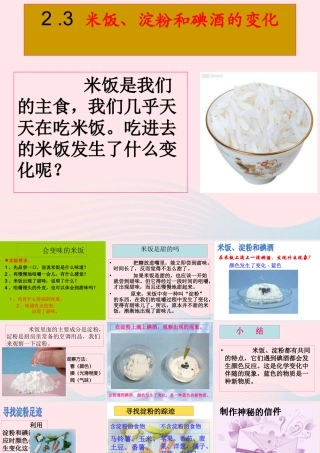 六年级科学下册 第二单元 物质的变化 3《米饭 淀粉和碘酒的变化》课件1 教科版-教科版小学六年级下册自然科学课件