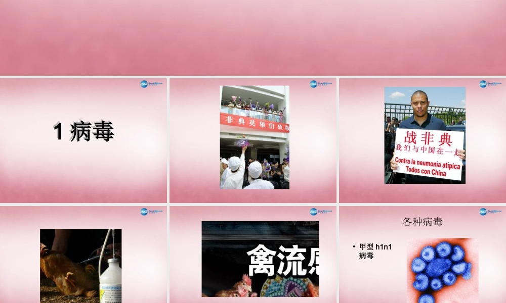 六年级科学上册 第一单元 1 病毒课件1 青岛版