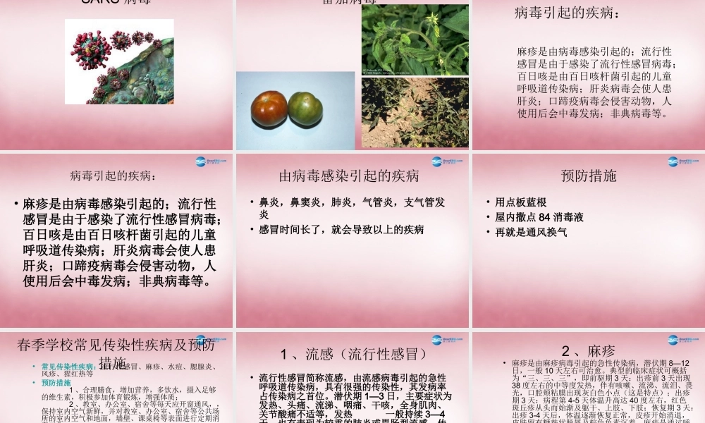 六年级科学上册 第一单元 1 病毒课件1 青岛版