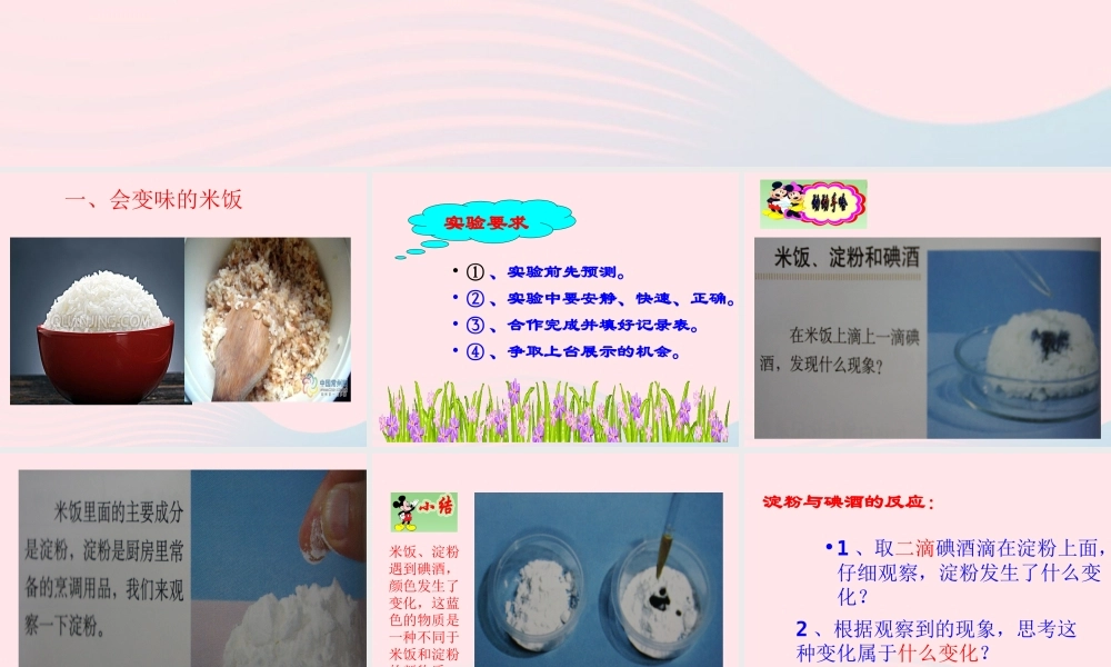 六年级科学下册 第二单元 物质的变化 3《米饭 淀粉和碘酒的变化》课件2 教科版-教科版小学六年级下册自然科学课件