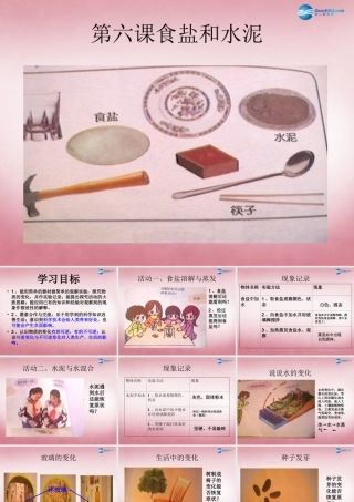 六年级科学上册 第2单元 6 食盐和水泥课件3 青岛版