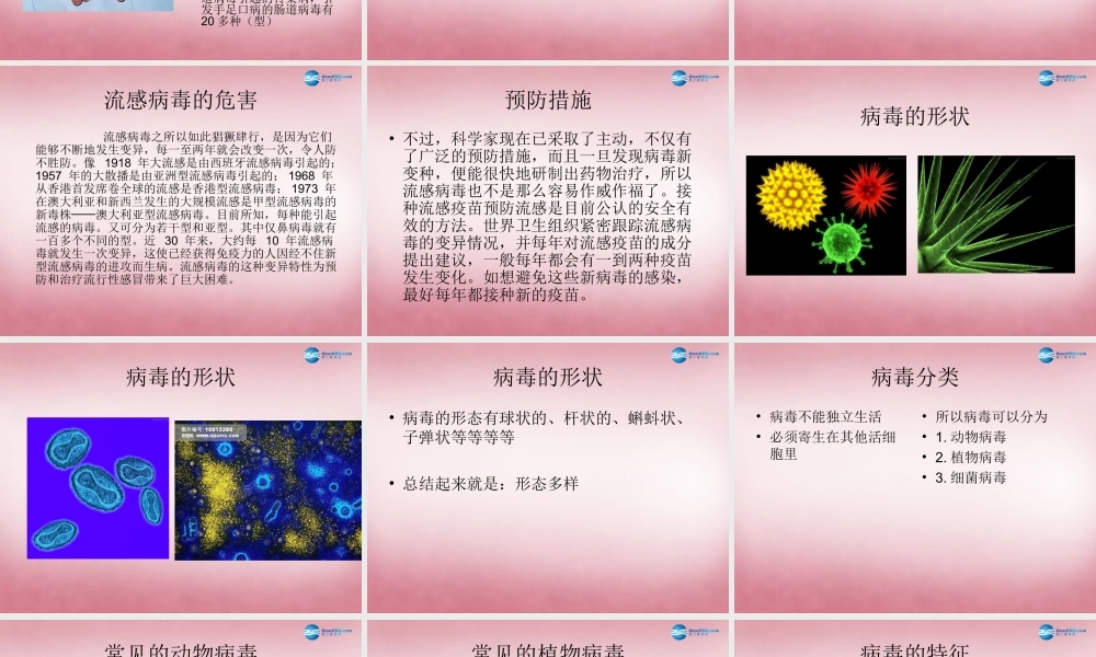 六年级科学上册 第一单元 1 病毒课件2 青岛版