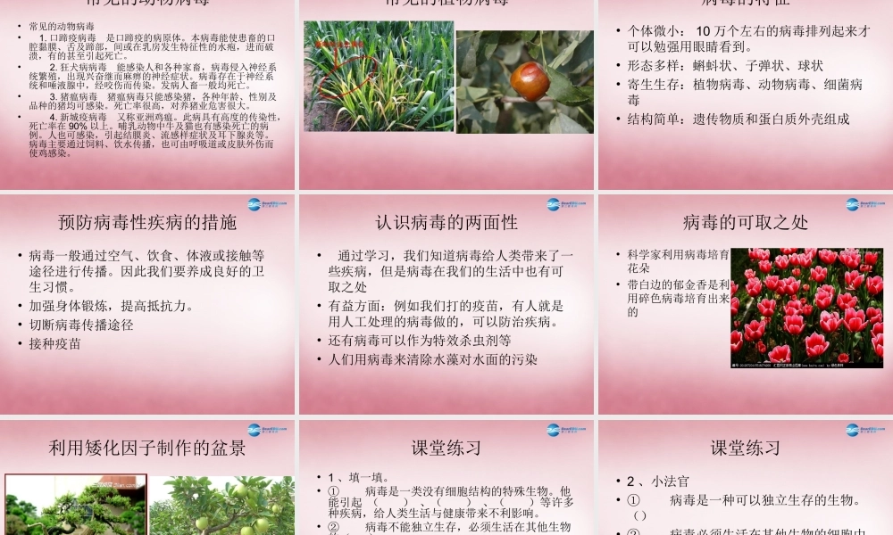 六年级科学上册 第一单元 1 病毒课件2 青岛版