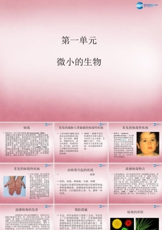 六年级科学上册 第一单元 1 病毒课件2 青岛版