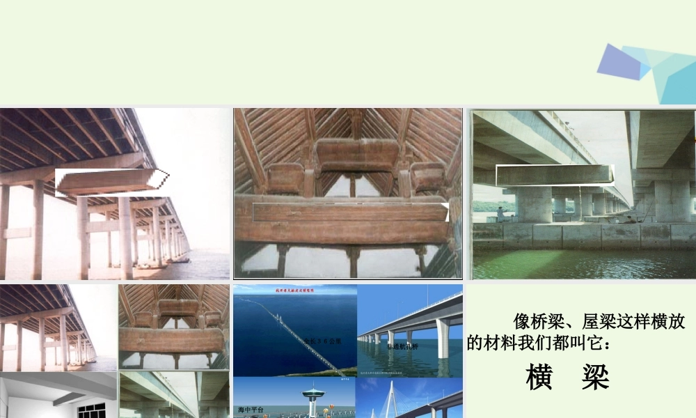 六年级科学上册 2.1 抵抗弯曲课件1 教科版-教科版小学六年级上册自然科学课件