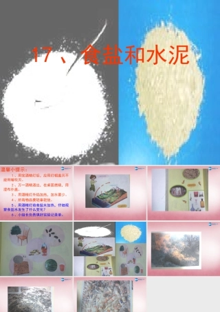 六年级科学上册 第2单元 6 食盐和水泥课件4 青岛版