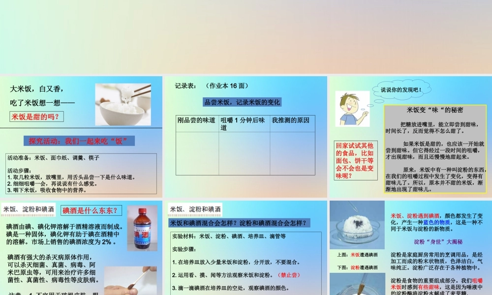 六年级科学下册 第二单元 物质的变化 3米饭淀粉和碘酒的变化课件 教科版-教科版小学六年级下册自然科学课件
