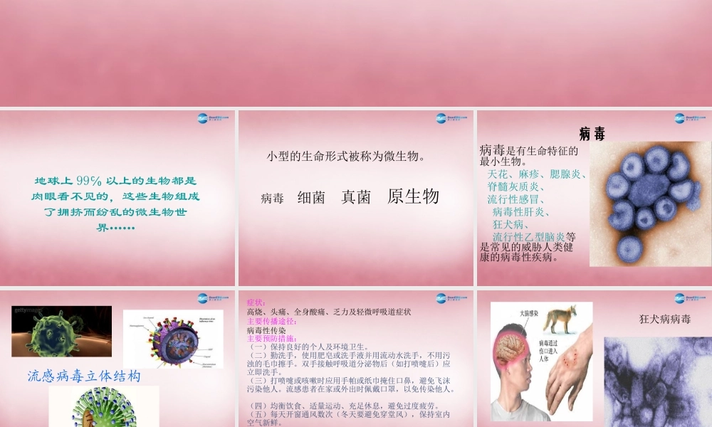 六年级科学上册 第一单元 1 病毒课件3 青岛版