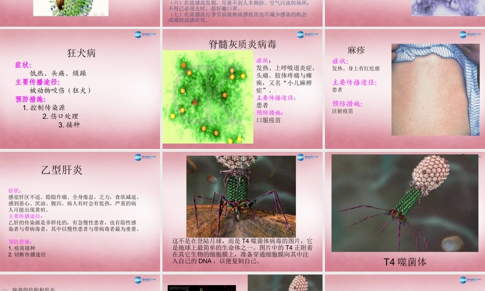 六年级科学上册 第一单元 1 病毒课件3 青岛版