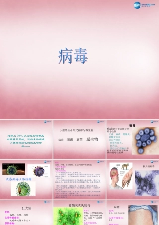 六年级科学上册 第一单元 1 病毒课件3 青岛版