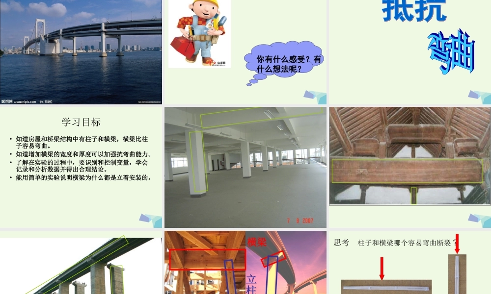 六年级科学上册 2.1 抵抗弯曲课件2 教科版-教科版小学六年级上册自然科学课件