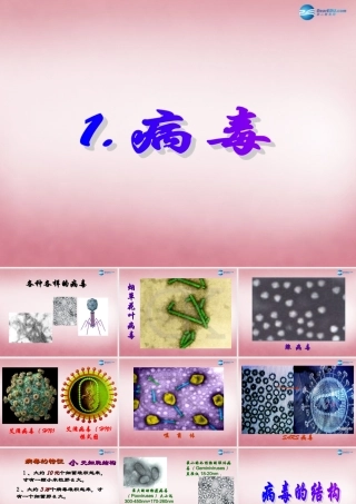 六年级科学上册 第一单元 1 病毒课件4 青岛版