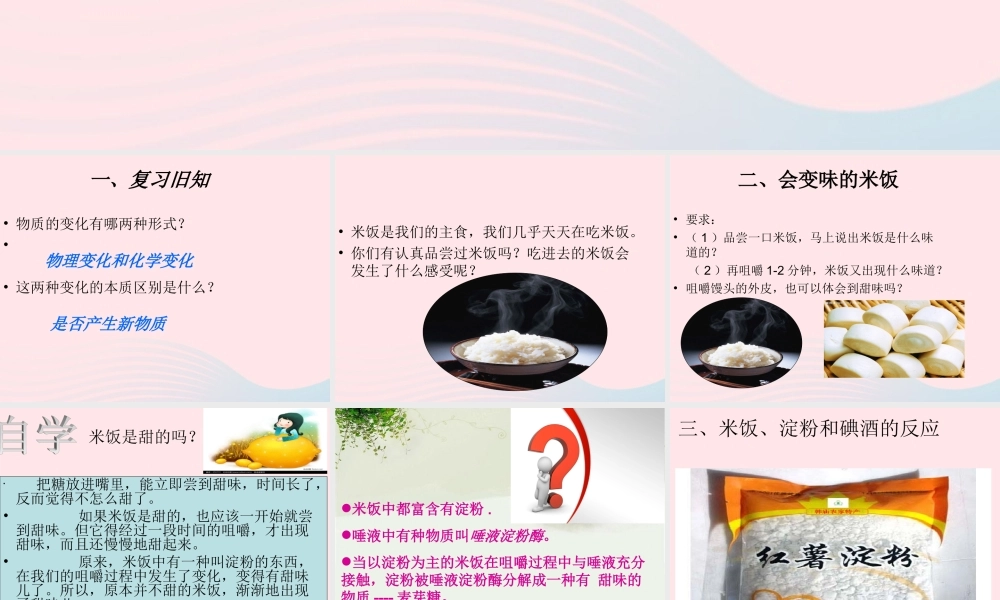 六年级科学下册 第二单元 物质的变化 3米饭和淀粉与碘酒的变化课件 教科版-教科版小学六年级下册自然科学课件