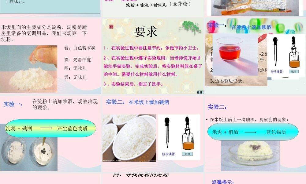 六年级科学下册 第二单元 物质的变化 3米饭和淀粉与碘酒的变化课件 教科版-教科版小学六年级下册自然科学课件