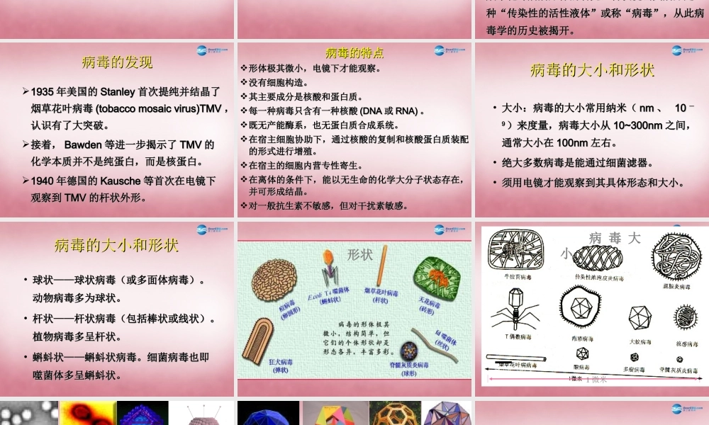 六年级科学上册 第一单元 1 病毒课件5 青岛版