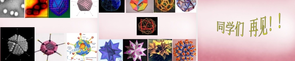 六年级科学上册 第一单元 1 病毒课件5 青岛版