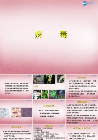 六年级科学上册 第一单元 1 病毒课件5 青岛版