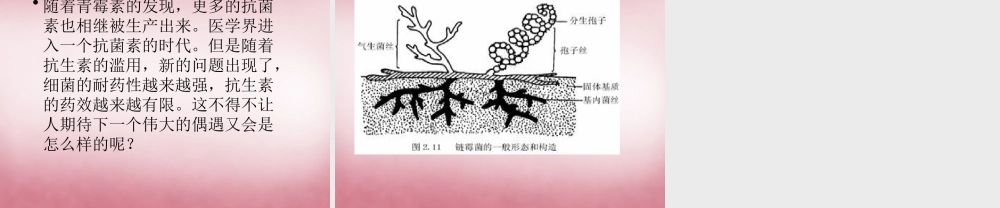 六年级科学上册 第一单元 2 细菌课件1 青岛版