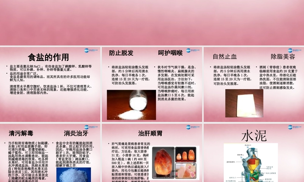 六年级科学上册 第2单元 6 食盐和水泥课件8 青岛版