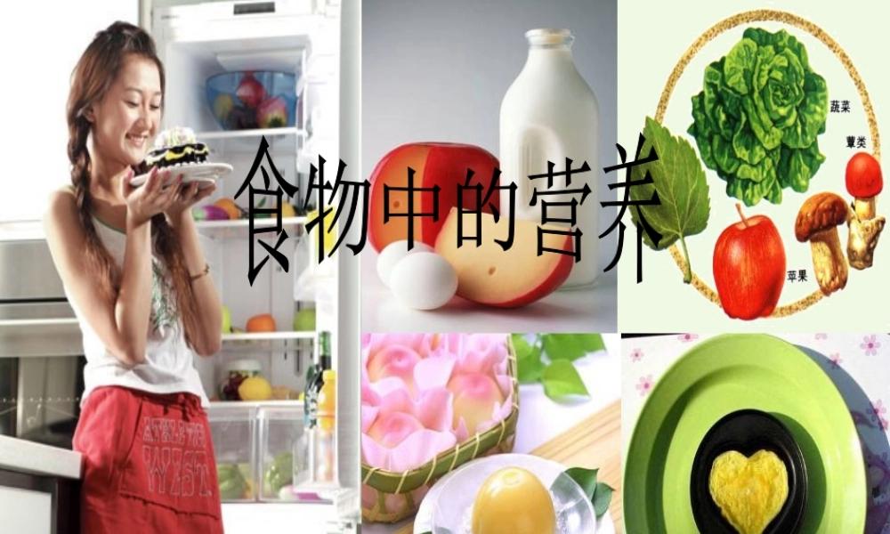 六年级科学上册 2.1 食物中的营养课件1 湘教版-湘教版小学六年级上册自然科学课件