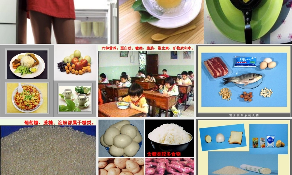 六年级科学上册 2.1 食物中的营养课件1 湘教版-湘教版小学六年级上册自然科学课件
