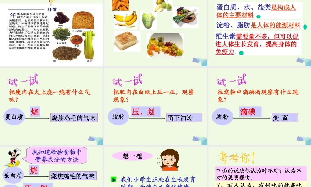 六年级科学上册 2.1 食物中的营养课件1 湘教版-湘教版小学六年级上册自然科学课件