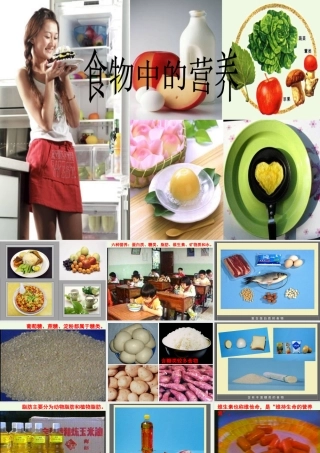 六年级科学上册 2.1 食物中的营养课件1 湘教版-湘教版小学六年级上册自然科学课件