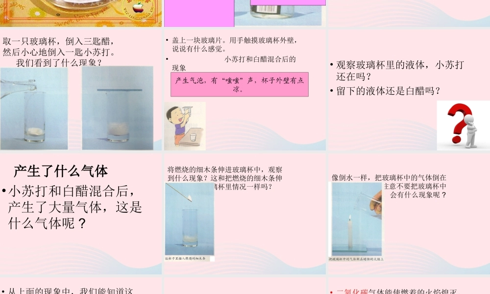 六年级科学下册 第二单元 物质的变化 4 小苏打和白醋的变化课件1 教科版-教科版小学六年级下册自然科学课件