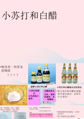 六年级科学下册 第二单元 物质的变化 4 小苏打和白醋的变化课件1 教科版-教科版小学六年级下册自然科学课件