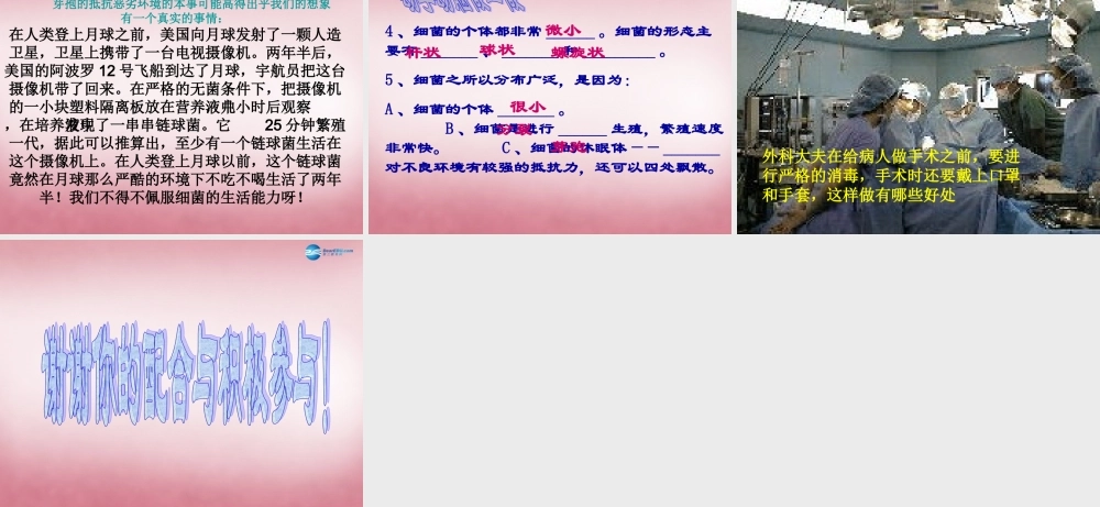 六年级科学上册 第一单元 2 细菌课件3 青岛版