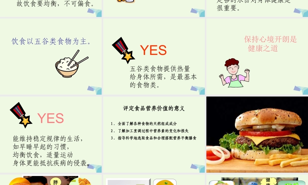 六年级科学上册 2.1 食物中的营养课件2 湘教版-湘教版小学六年级上册自然科学课件